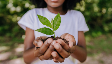 <p>Girl with outstretched arms holding a green seedling cupped in her hands</p>