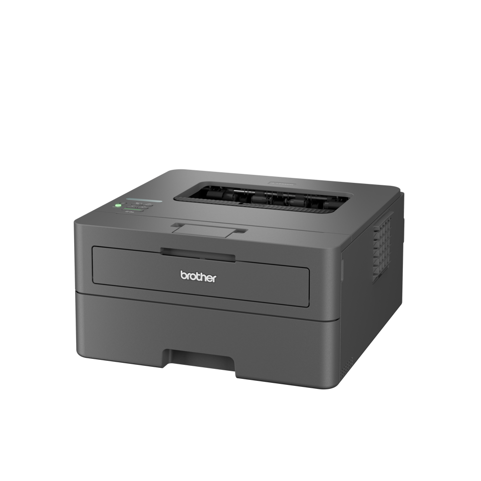 Brother HL-L2400DWE