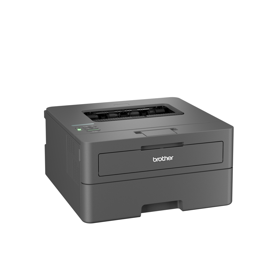 Brother HL-L2400DWE