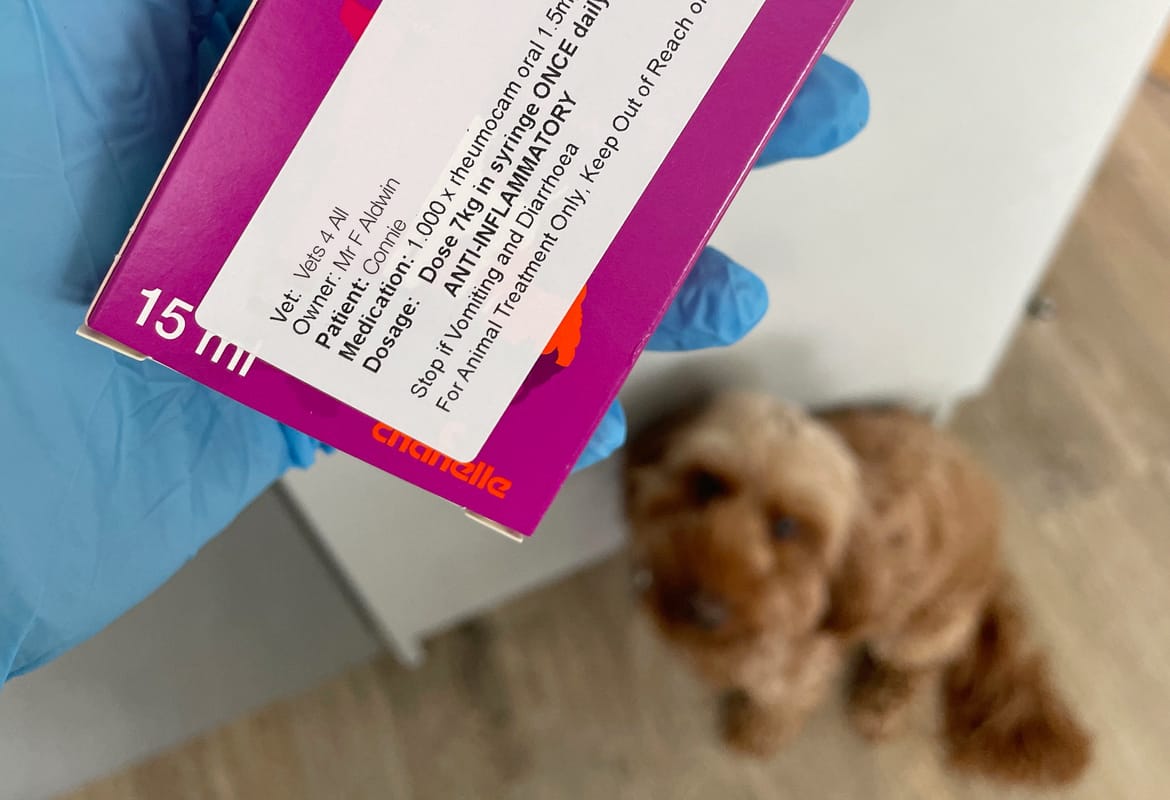 Veterinary printing and labelling solutions | Brother UK