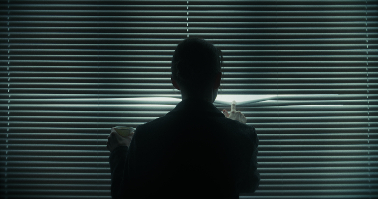 <p>Silhouette of a woman peering through a set of blinds</p>